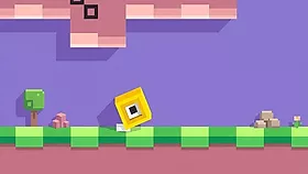 Dash
