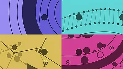 CircloO 2