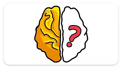 Brain Out